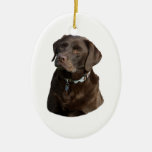 Chocolate Labrador Dog Photo Portrait Ceramic Ornament at Zazzle