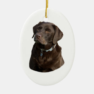 Chocolate Labrador dog photo portrait Ceramic Ornament