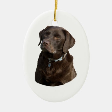 Chocolate Labrador Dog Photo Portrait Ceramic Ornament
