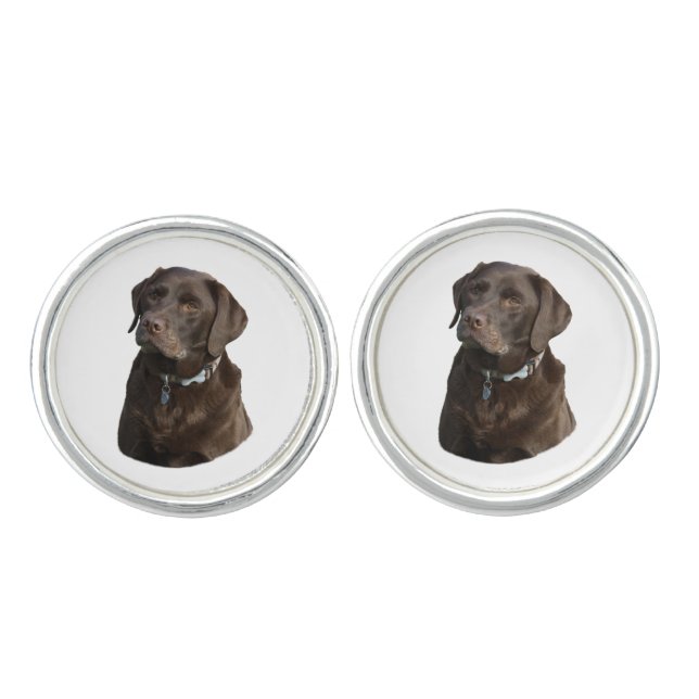 Chocolate Labrador dog photo portrait Cufflinks (Front)