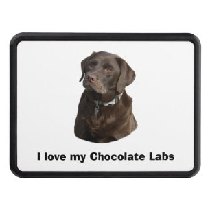 Chocolate Labrador dog photo portrait Hitch Cover