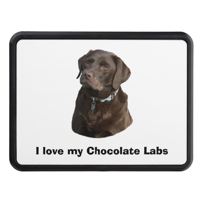 Chocolate Labrador dog photo portrait Hitch Cover (Front)