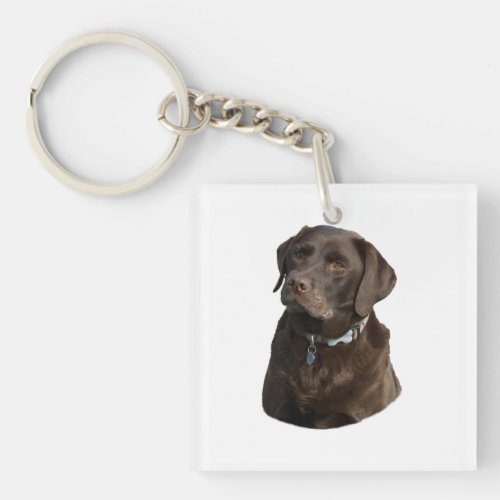 Chocolate Labrador dog photo portrait Keychain