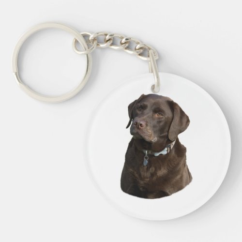 Chocolate Labrador dog photo portrait Keychain