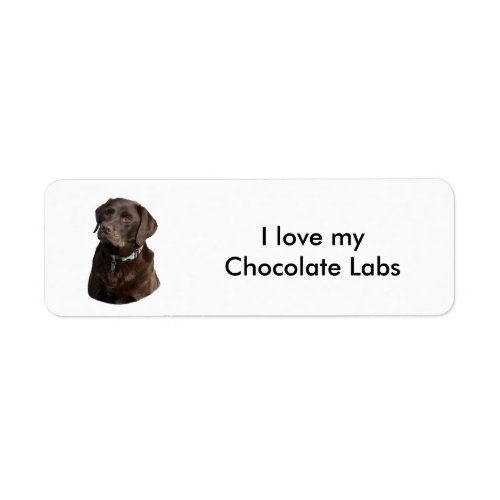 Chocolate Labrador dog photo portrait Label
