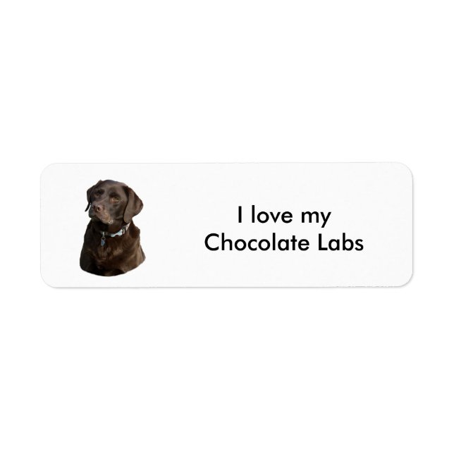 Chocolate Labrador dog photo portrait Label (Front)