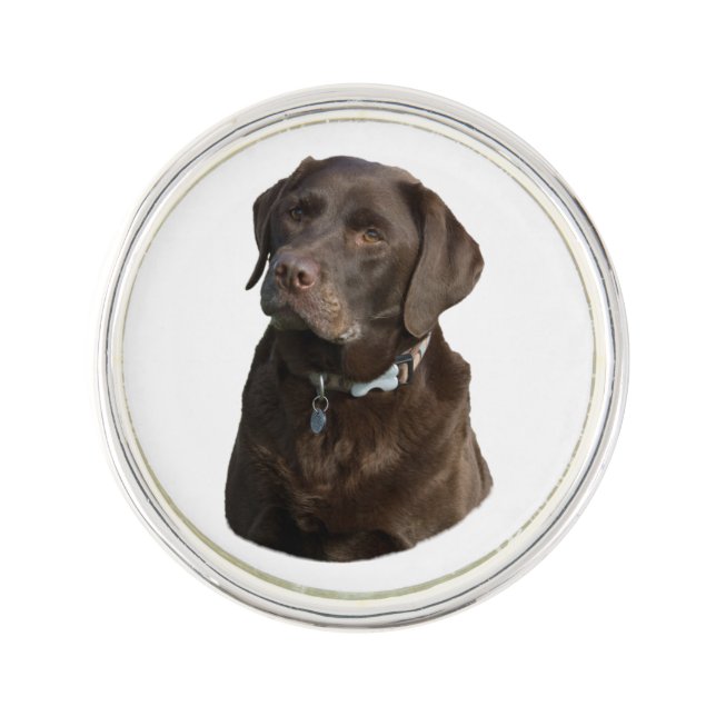 Chocolate Labrador dog photo portrait Lapel Pin (Front)