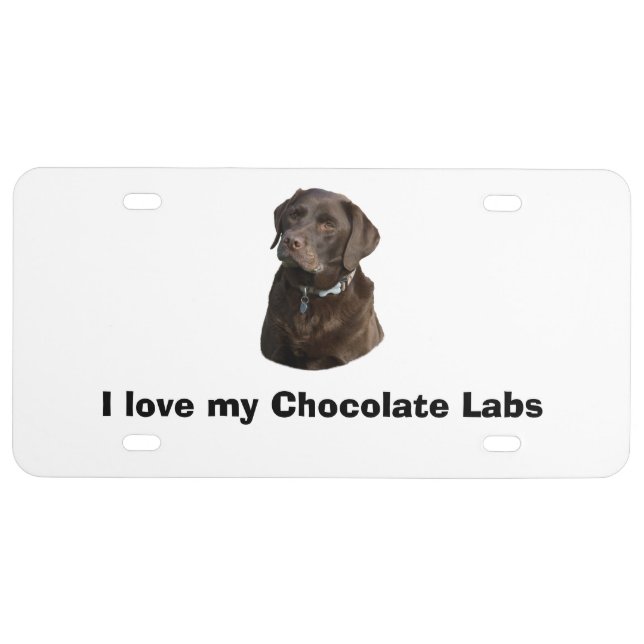 Chocolate Labrador dog photo portrait License Plate (Front)