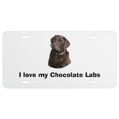 Chocolate Labrador dog photo portrait License Plate