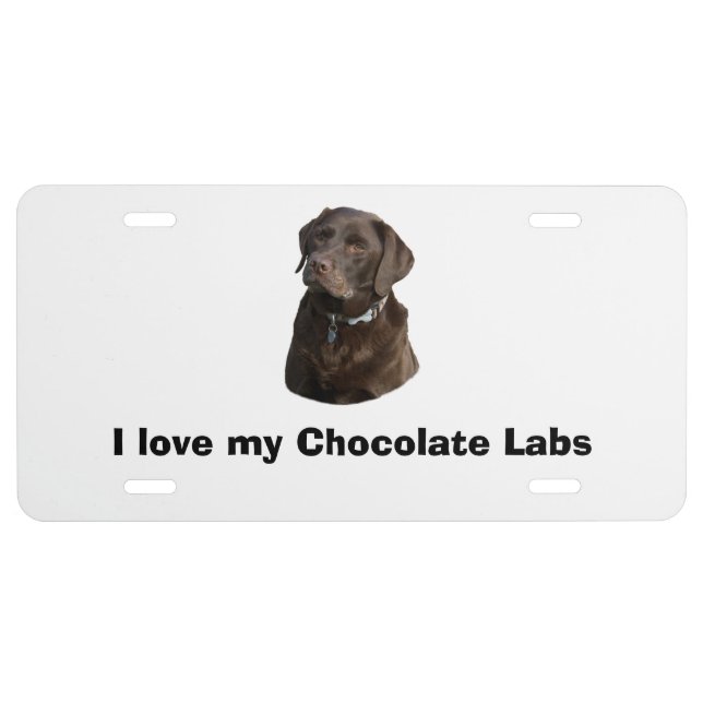 Chocolate Labrador dog photo portrait License Plate (Front)