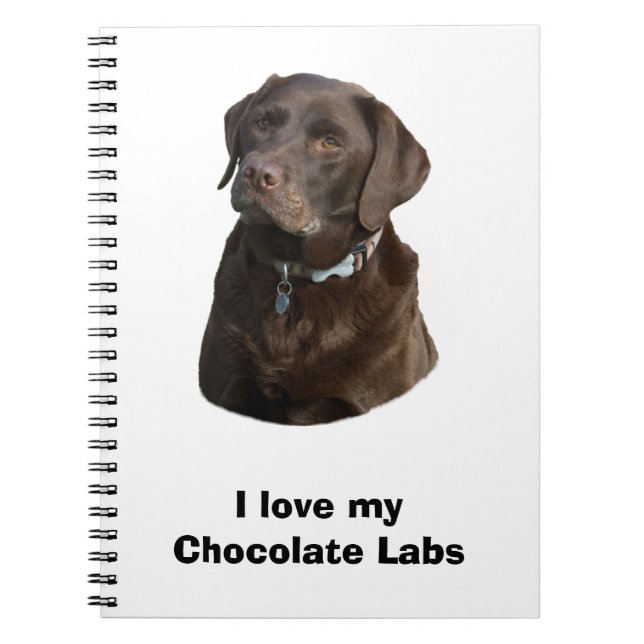 Chocolate Labrador dog photo portrait Notebook (Front)
