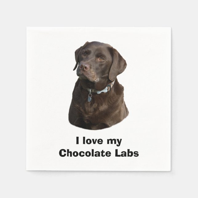Chocolate Labrador dog photo portrait Paper Napkins (Front)