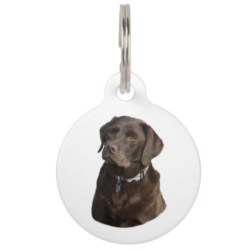 Chocolate Labrador dog photo portrait Pet ID Tag