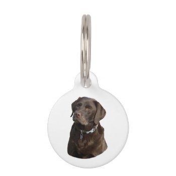 Chocolate Labrador Dog Photo Portrait Pet Name Tag by dogzstore at Zazzle