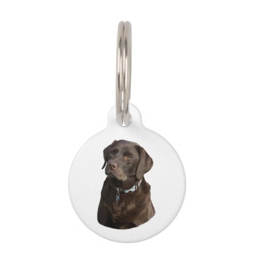 Chocolate Labrador dog photo portrait Pet Name Tag