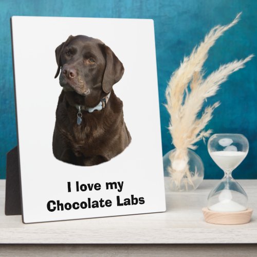 Chocolate Labrador dog photo portrait Plaque