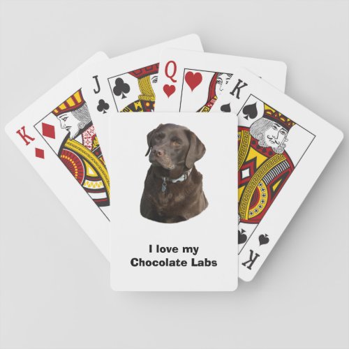 Chocolate Labrador dog photo portrait Poker Cards