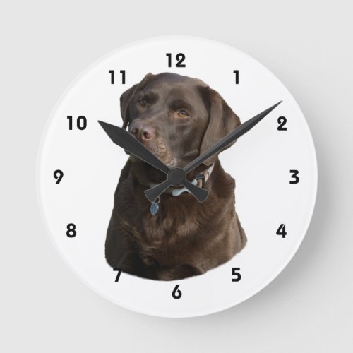 Chocolate Labrador dog photo portrait Round Clock