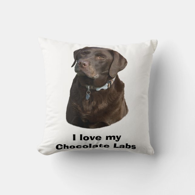 Chocolate Labrador dog photo portrait Throw Pillow (Front)
