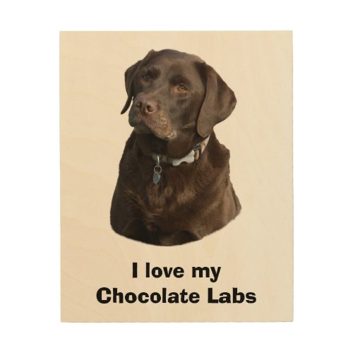 Chocolate Labrador dog photo portrait Wood Wall Decor