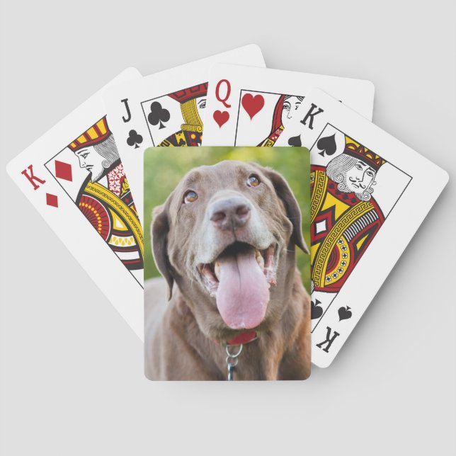 Chocolate Labrador Dog Poker Cards (Back)