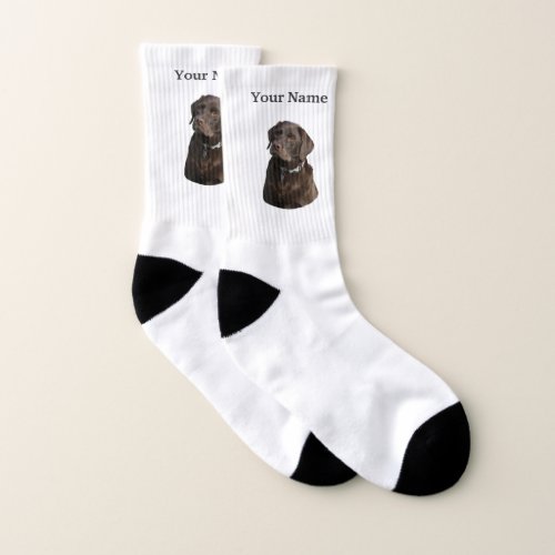 Chocolate labrador dog socks