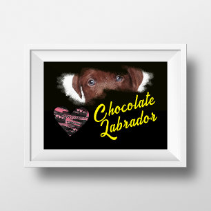 Chocolate Labrador Eyes Solid Color Poster