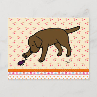 Chocolate Labrador Friendly Postcard