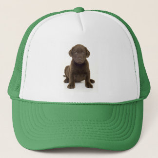 Chocolate Labrador Hat