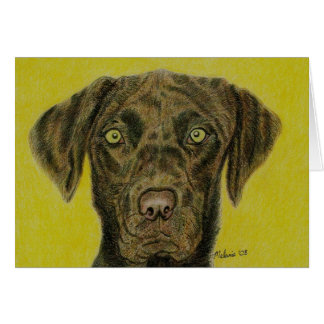 Chocolate Labrador - Hershey Cards