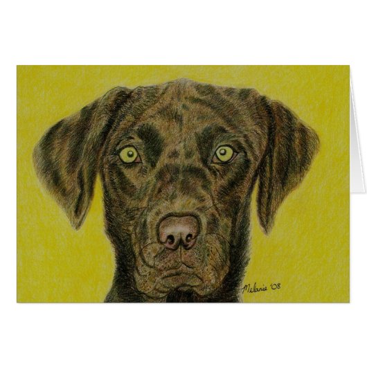 Chocolate Labrador - Hershey Cards (Front Horizontal)
