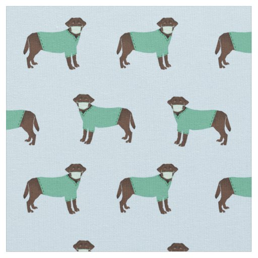 Chocolate Labrador in Scrubs light blue Fabric