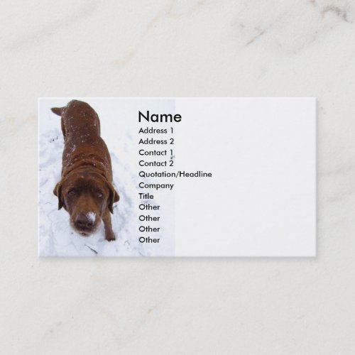 Chocolate Labrador in Snow Business Card