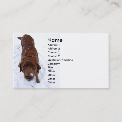 Customizable Chocolate Labrador in Snow Business Card
