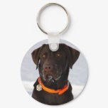 Chocolate Labrador Keychain