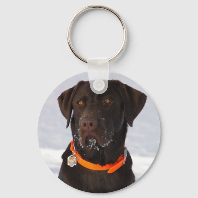 Chocolate Labrador Keychain (Front)