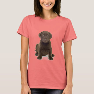 Chocolate Labrador Ladies T-Shirt