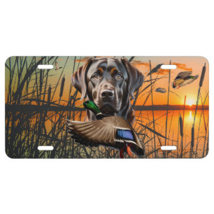 Chocolate Labrador License Plate, Duck Hunting Plate