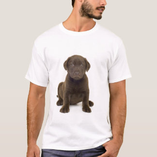 Chocolate Labrador Mens T-Shirt