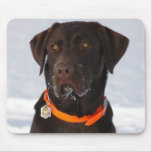 Chocolate Labrador Mousepad