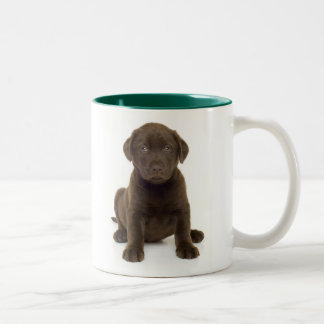 Chocolate Labrador Mug