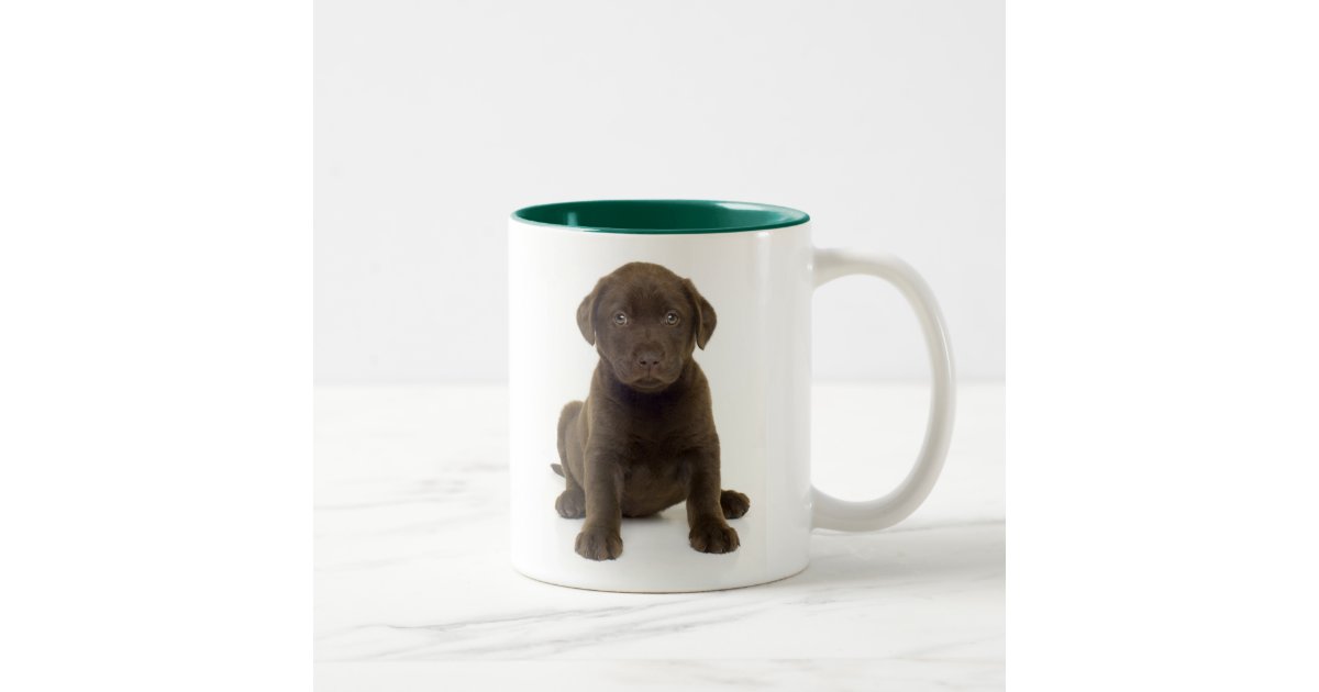 Chocolate Labrador Mug | Zazzle