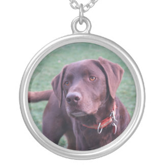 chocolate labrador necklace