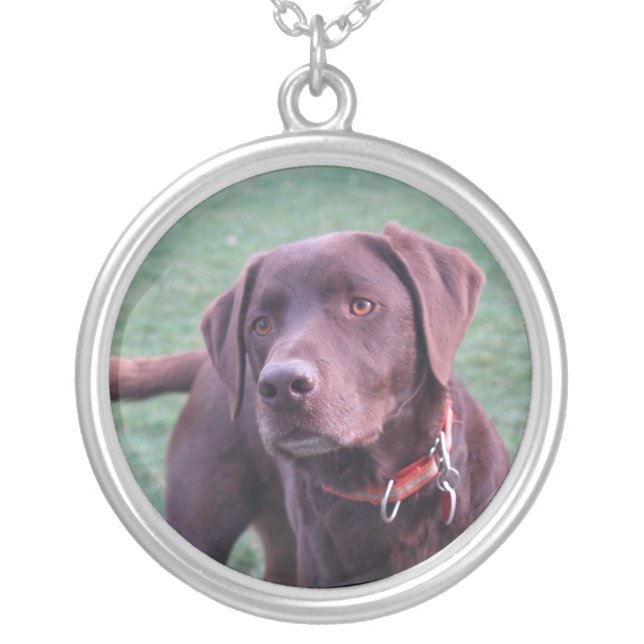 chocolate labrador necklace (Front)