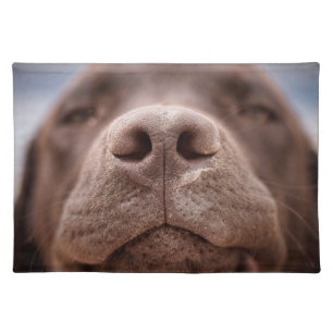 Chocolate Labrador Nose Closeup Cloth Placemat