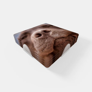 Chocolate Labrador Nose Closeup Coaster Set