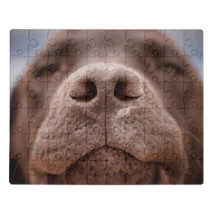 Chocolate Labrador Nose Closeup Jigsaw Puzzle