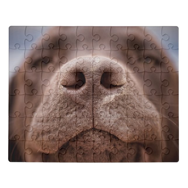Chocolate Labrador Nose Closeup Jigsaw Puzzle (Puzzle Horizontal)