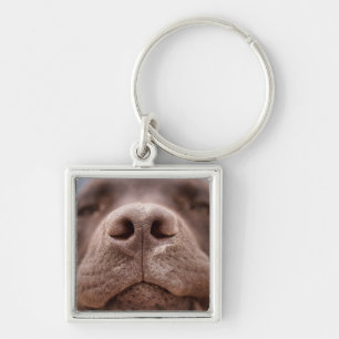Chocolate Labrador Nose Closeup Keychain