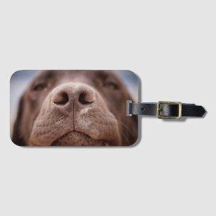 Chocolate Labrador Nose Closeup Luggage Tag